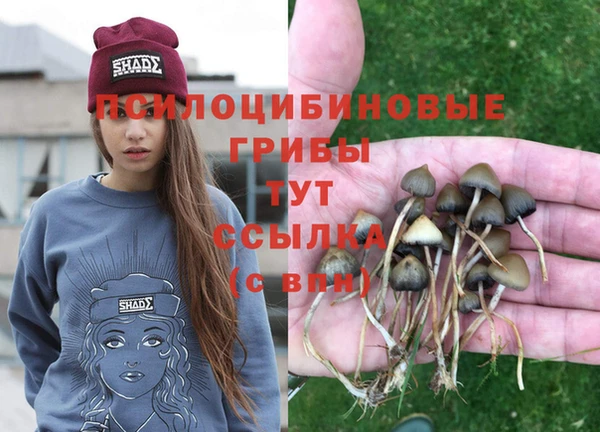 мефедрон Каменногорск
