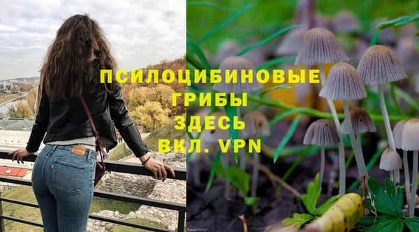 соль ск Инта