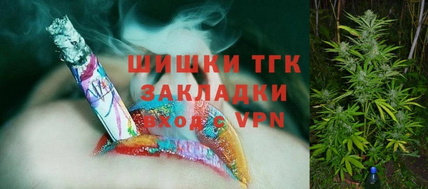 прущие грибы Каменка