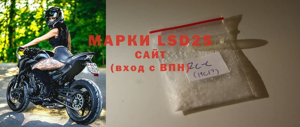 прущие грибы Каменка