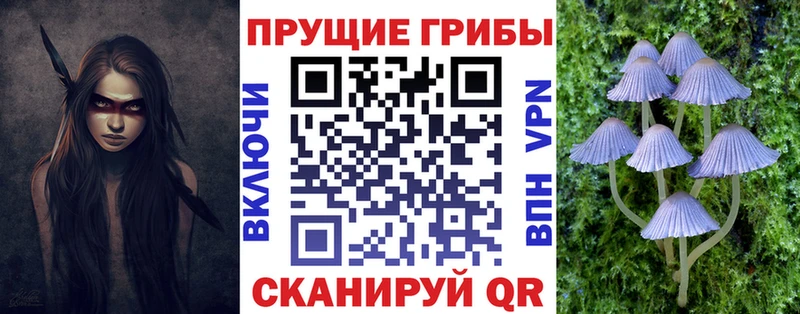 Псилоцибиновые грибы Magic Shrooms  Купить закладки  Спасск-Рязанский 