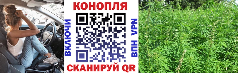 Бошки марихуана SATIVA & INDICA  Купить где  Спасск-Рязанский 